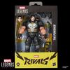 Marvel Legends Series Marvel Rivals The Punisher
