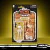 STAR WARS The Vintage Collection Padmé Amidala (Geonosis), STAR WARS: Attack of the Clones